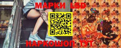 винт Донецк