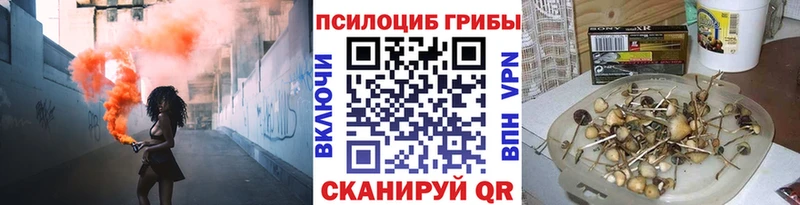 Псилоцибиновые грибы Magic Shrooms Магадан