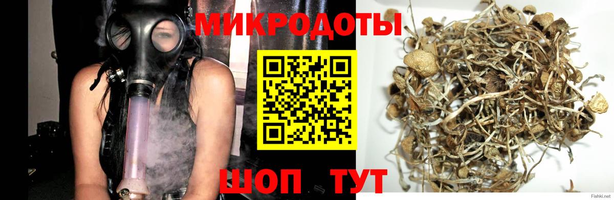 Псилоцибиновые грибы прущие грибы  Вход с VPN  закладки  Магадан 